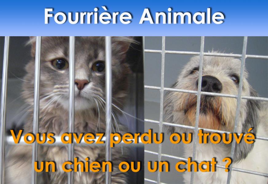 La fourrière animale