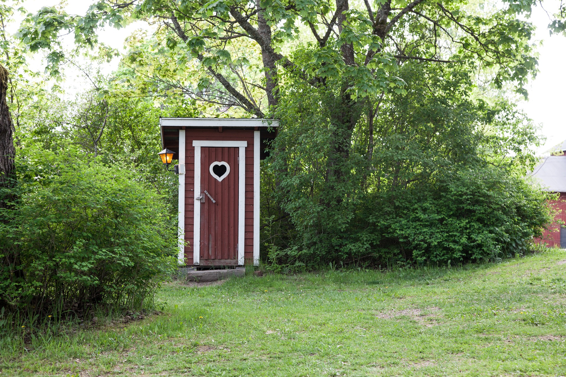 toilette