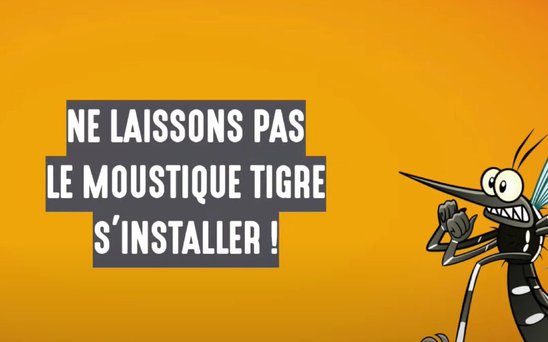 Surveillance du moustique tigre en Ile de France