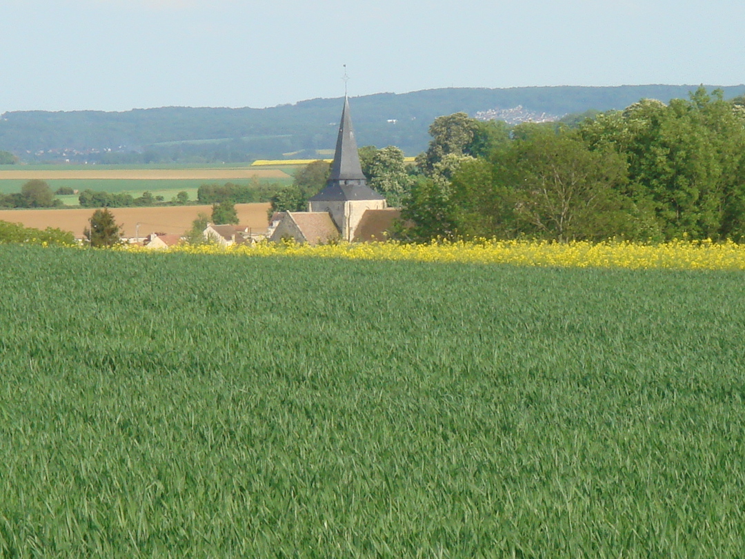 2009-05-08 17.31.36