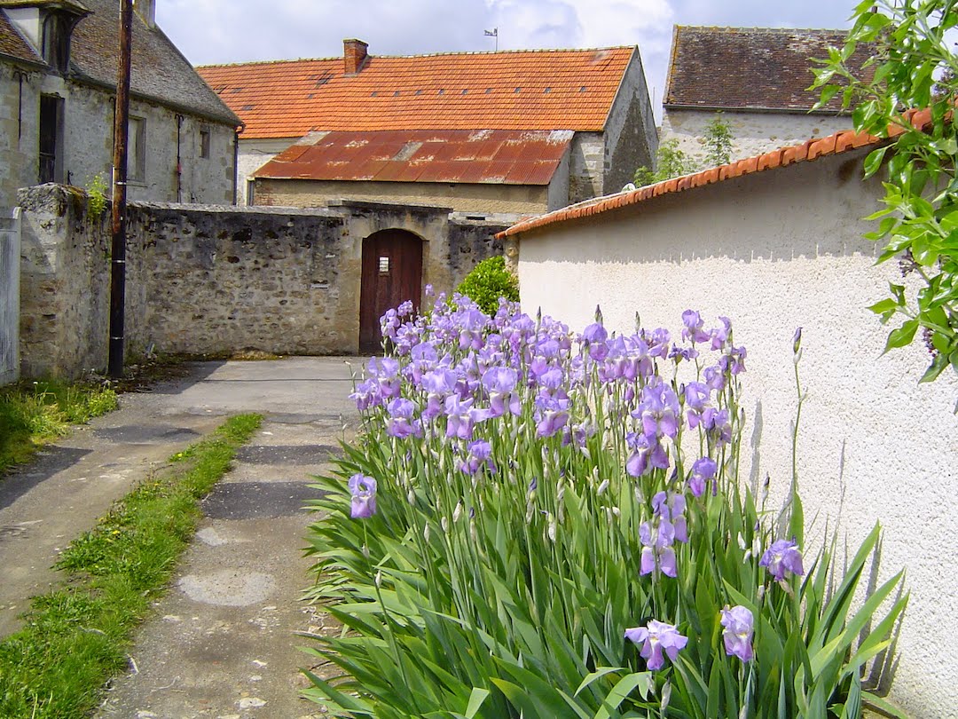 Avernes printemps 2004 (3)