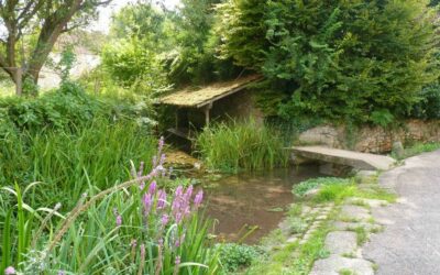 Histoires d’eau