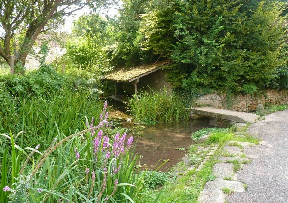 Histoires d’eau